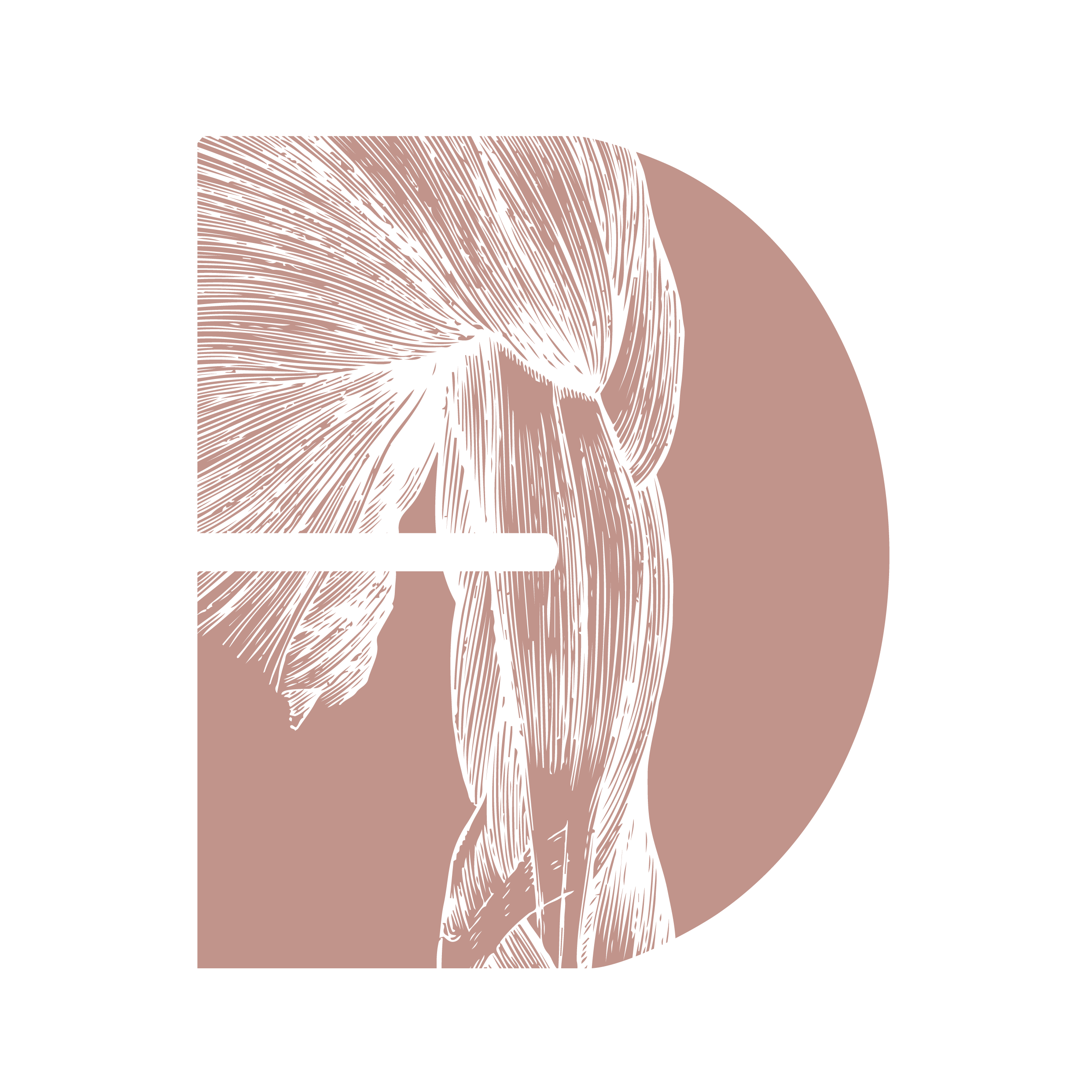 STILELEMENT5